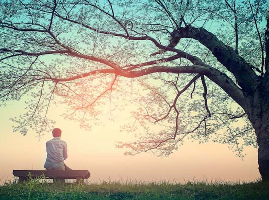 اختلال شخصیت اجتنابی Avoidant Personality Disorder
